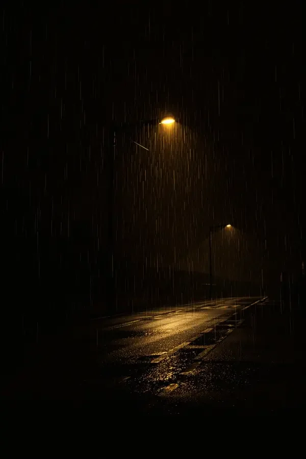 根系之下 - 蜜桃影视 犯罪剧集根系之下海报,雨后城市街道上撑裂路面的树根与路灯下侦探剪影
